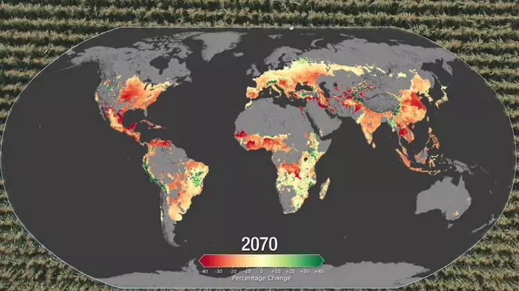 changement climatique impact sur les rendements