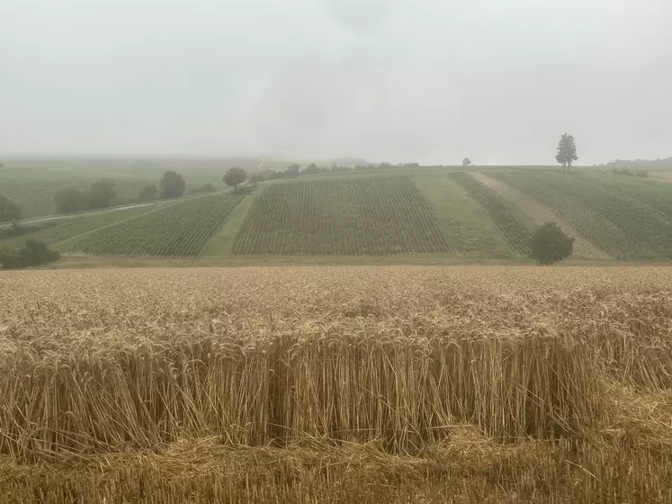 Année 2021 catastrophique 