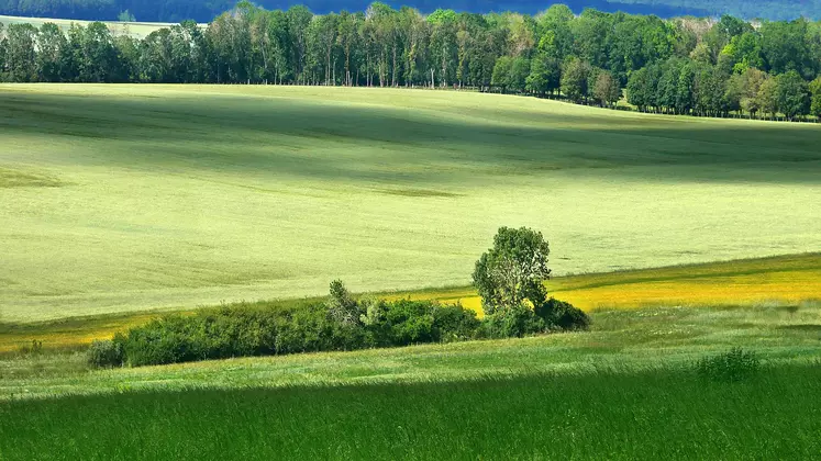 Prix des terres agricoles en 2020