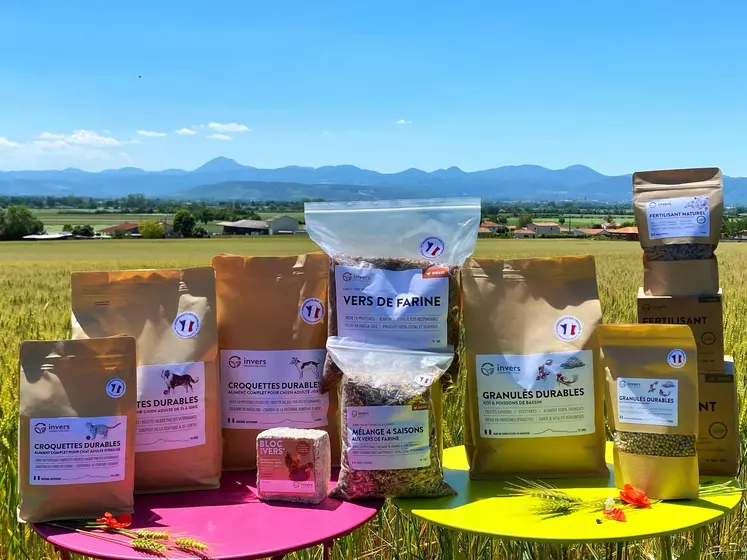 Déchets plastiques : un jeune entrepreneur, ingénieur agronome, veut les  faire avaler aux vers de farine
