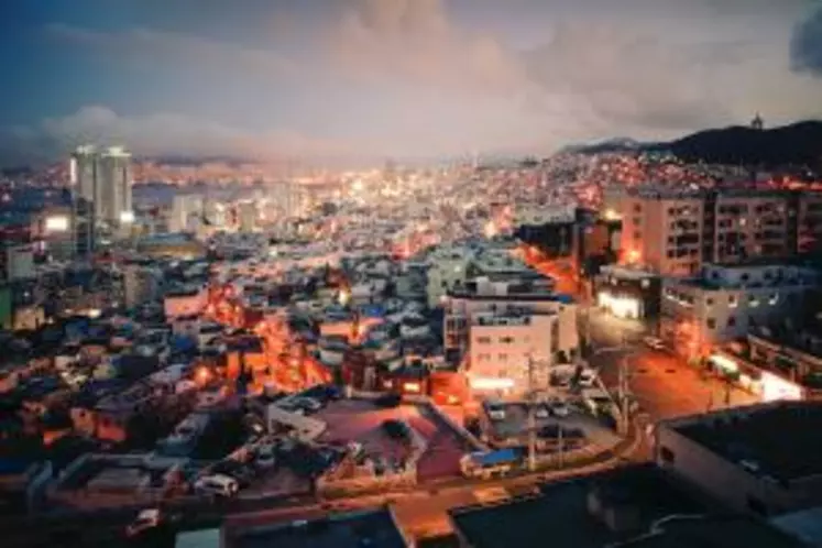 Port de Busan en Corée du Sud. Une vingtaine de pays d'Asie, d'Afrique, du Moyen-Orient et autres ont fermé leurs portes, à des degrés divers, aux animaux vivants et aux produits viande et foie gras.