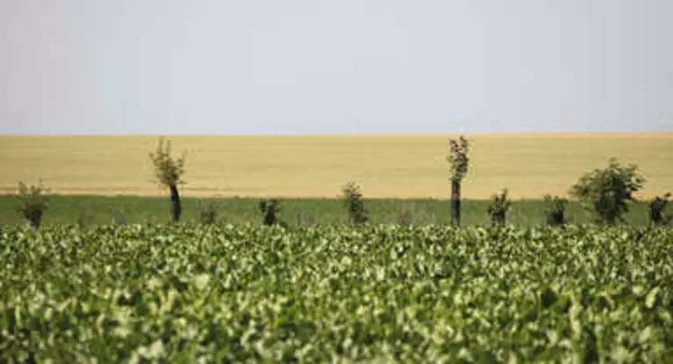 biodiversité