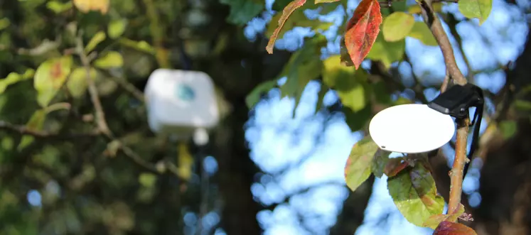 Weenat dévoile son nouveau capteur d’humectation foliaire mobile et connecté pour optimiser les interventions phytosanitaires et mieux protéger vignes et vergers.