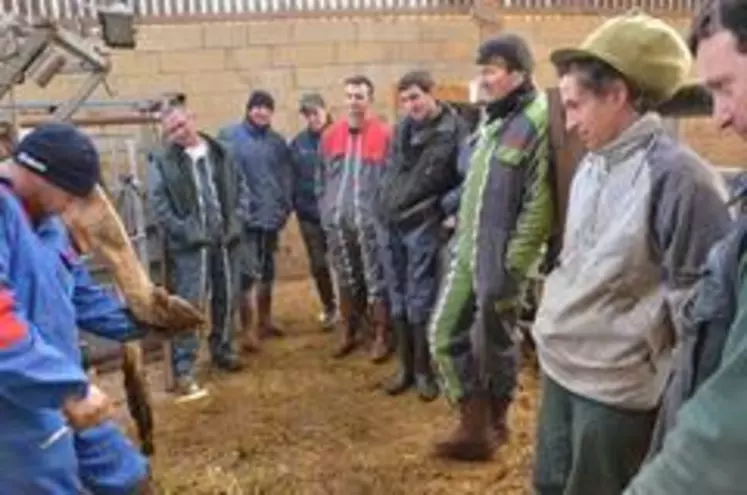 La formation des éleveurs à la détection précoce et aux premiers gestes de parage est essentielle.