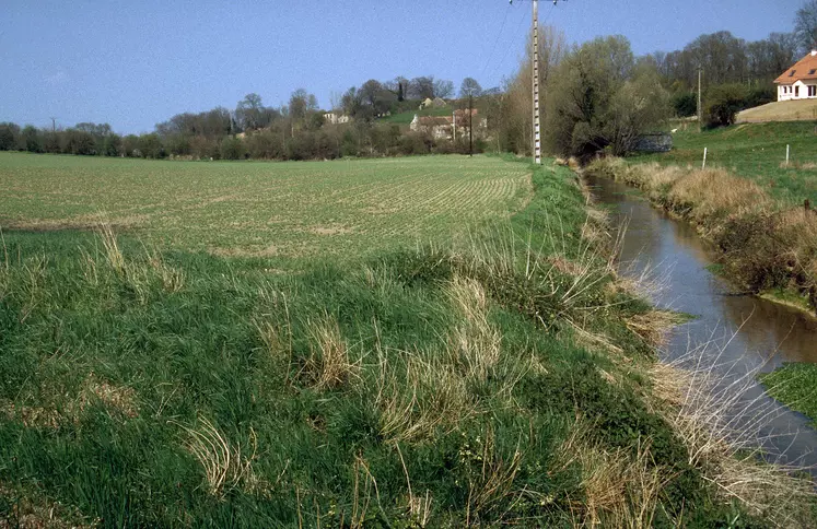 fossé près d'un terrain agricole