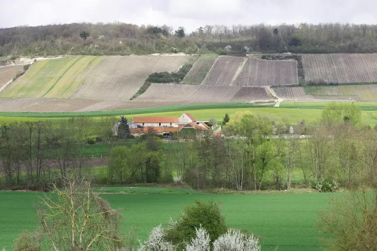 Haies au sein de parcelles agricoles