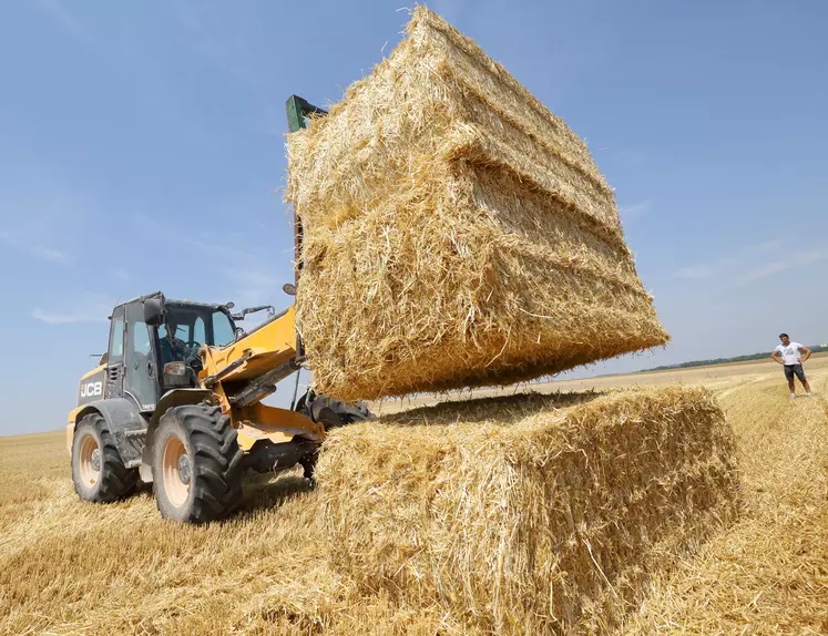 emploi exploitations agricoles