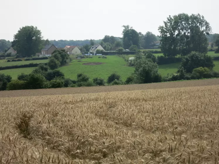 Terres agricoles et maisons 