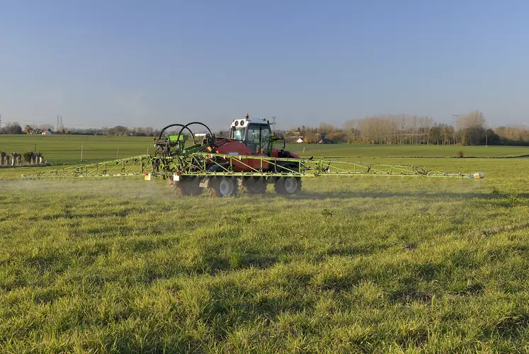 Traitement par glyphosate