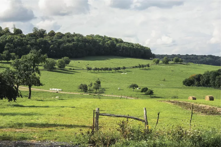 Prairies Vosges