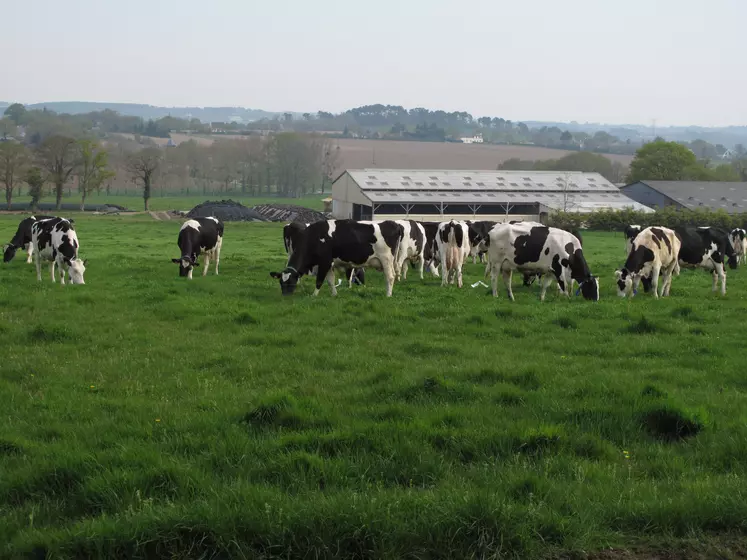 paysage agricole en Bretagne