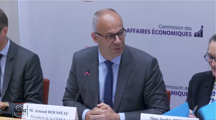 Arnaud Rousseau, président de la FNSEA, devant la commission des affaires économiques du Sénat le 31 mai 2023.
