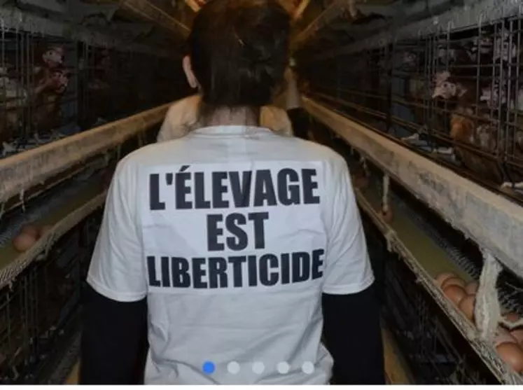 boucherie abolition intrusion vegan