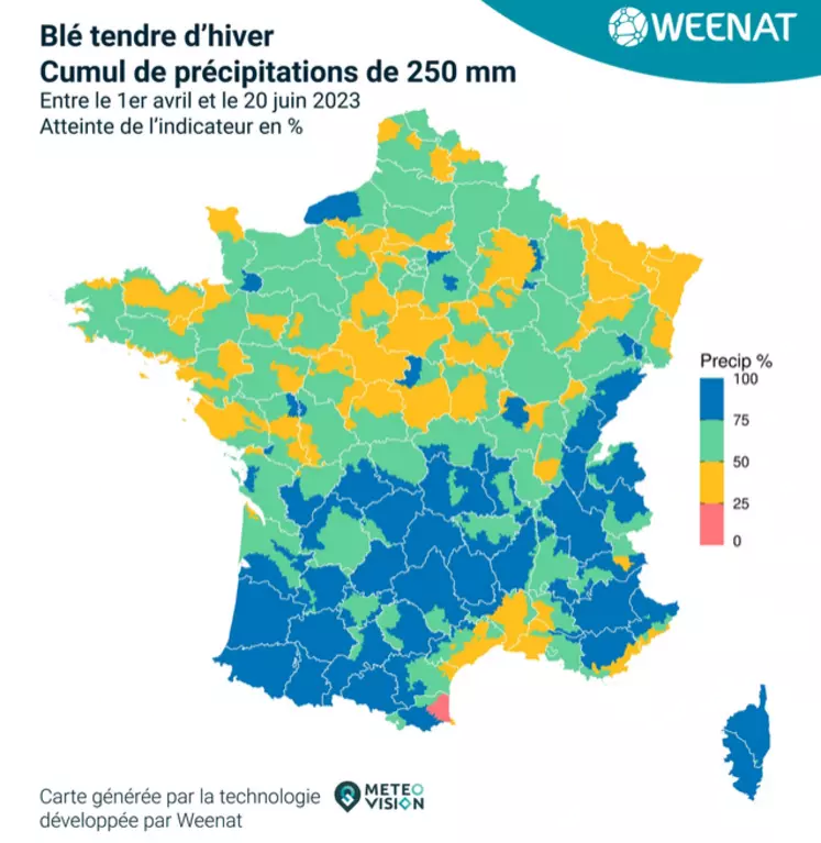 carte du cumul des précipitations recu par le blé d'hiver en 2023