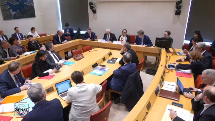 Christian Huyghes, directeur scientifique agriculture de l'Inrae, devant le Sénat.