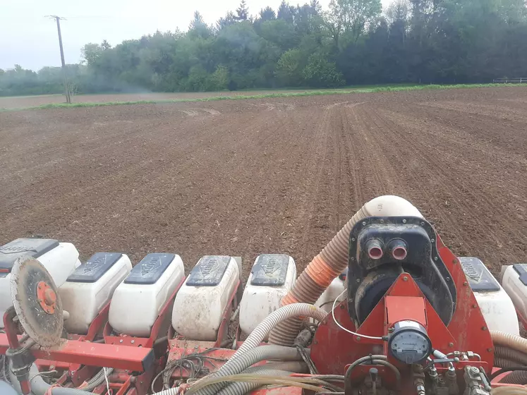 Semis de maïs sur sol humide dans l'Oise.