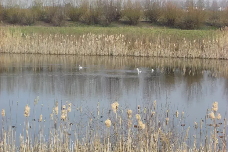 Bassin de rétention en basse-Normandie