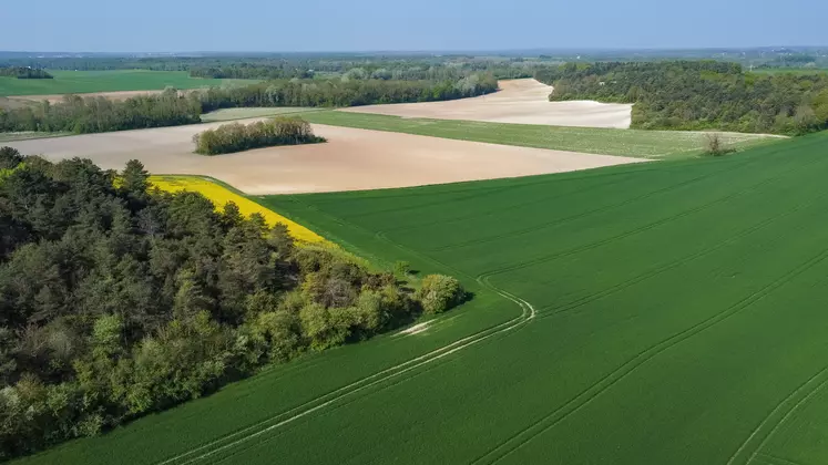 Vue de drone de parcelles agricoles