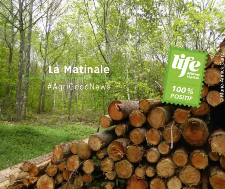 Le filière Forêt et Bois - Une filière d'avenir pour l'emploi !