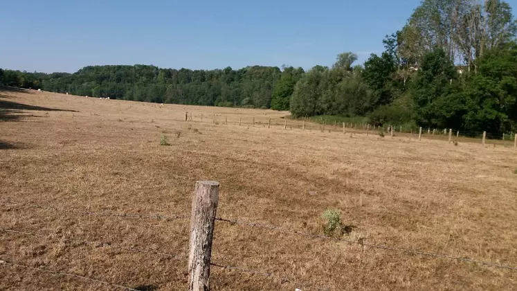 prairies sécheresse élevage de ruminants