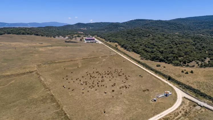 pâturages desséchés en Espagne