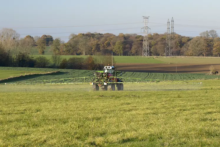 Pulvérisation de glyphosate.