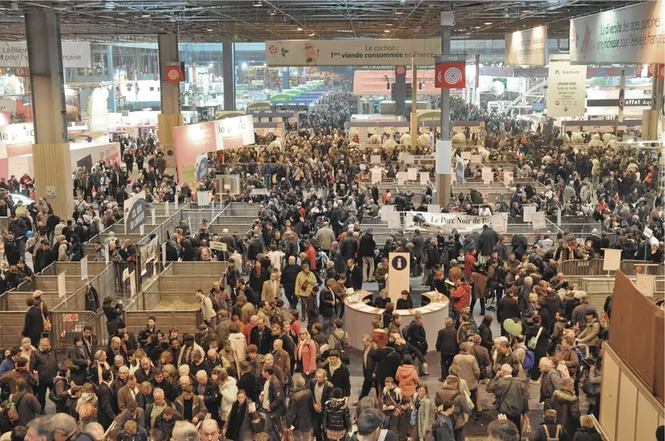 Salon de l'agriculture, hall des animaux, porte de Versailles