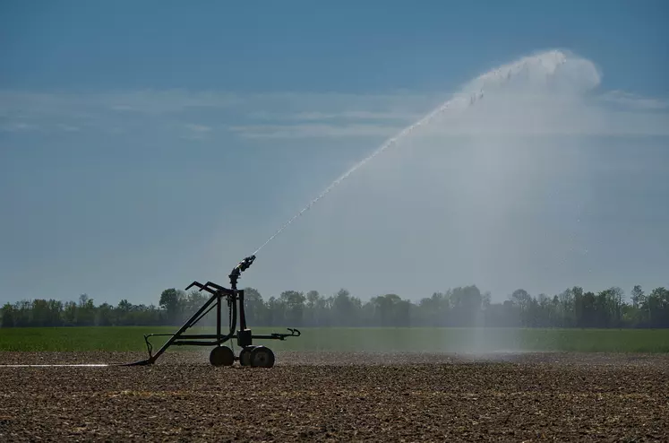 irrigation de cultures pendant la sécheresse