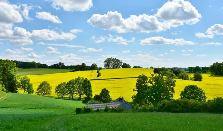 Une allocation pour remplacement temporaire est prévu pour les exploitations agricoles concernés par les mesures du confinement