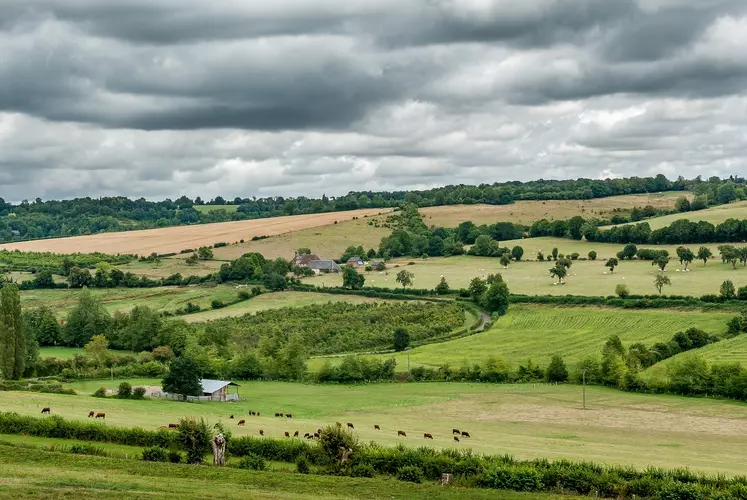 parcelles agricoles statut du fermage