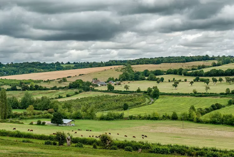 PAC PSN France politique agricole commune 2022