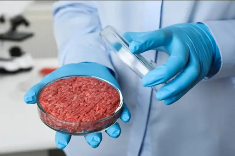 Viande cellulaire dans les mains d'une personne avec des gants bleus.