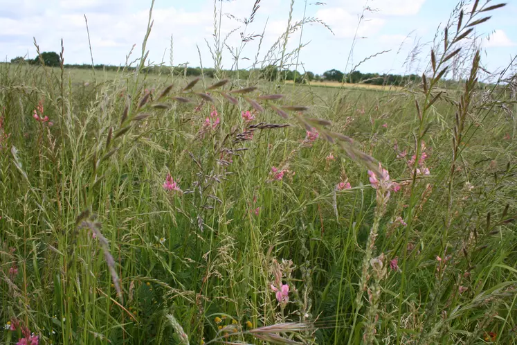 jachère agricole