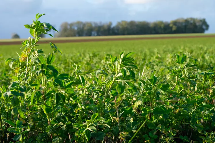 Agroécologie pacte pouvoir de vivre