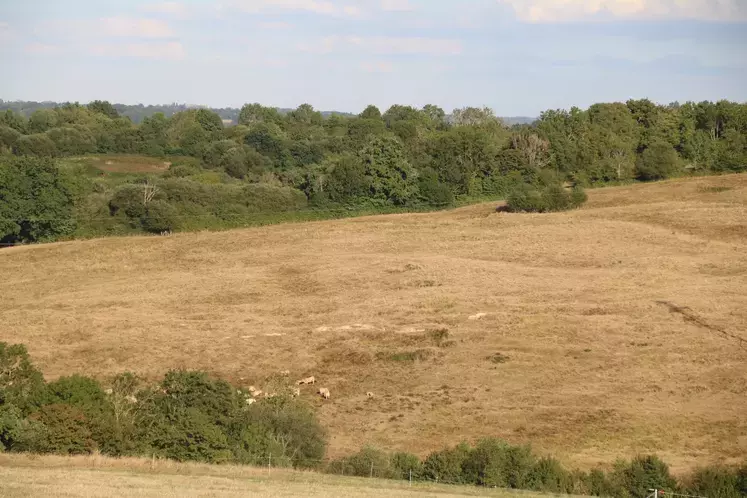 prairie désechée