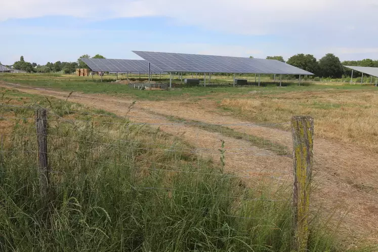 panneaux photovoltaïques dans un champs