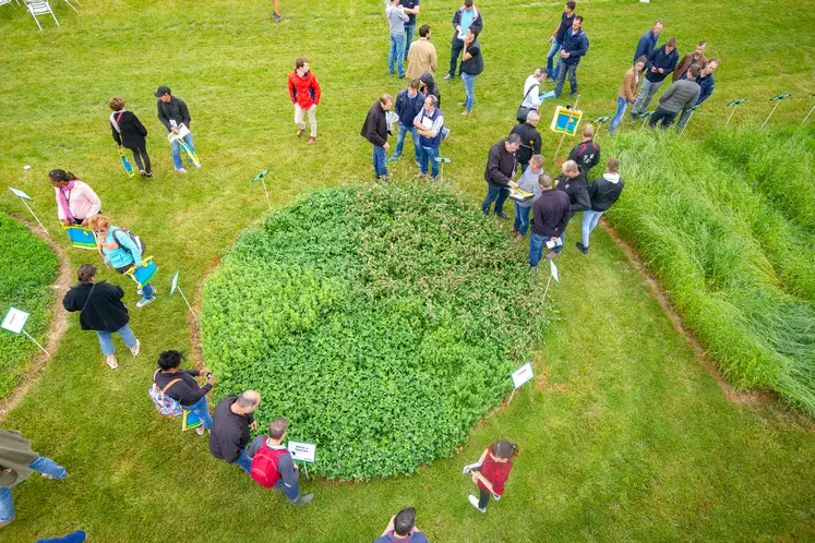 salon de l'herbe prairie fourrage