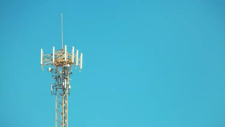 Antennes 4G effet sur les élevages