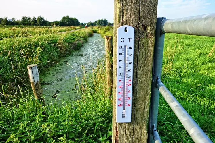 thermomètre dans un champ