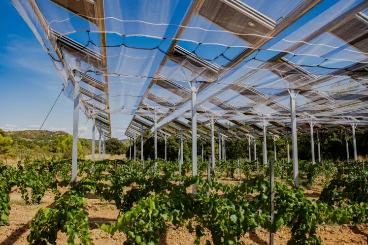 Ombrière photovoltaïque déployée au-dessus de vignes