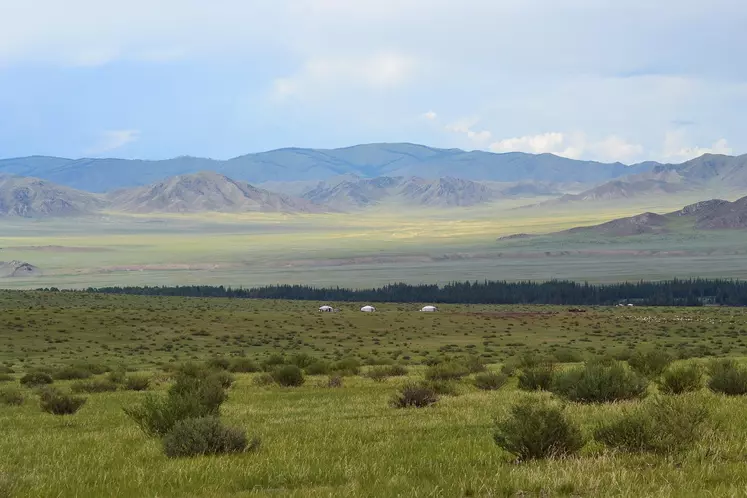 Steppe de Mongolie