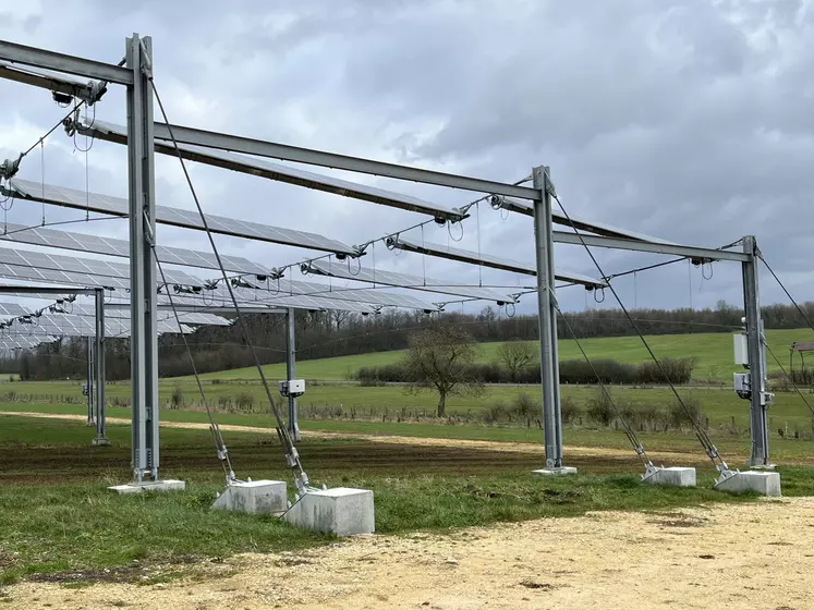 panneaux agrivoltaïques