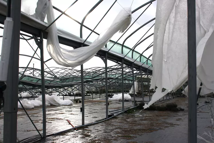 Serre affectée par la tempête Ciaran dans le Finistère