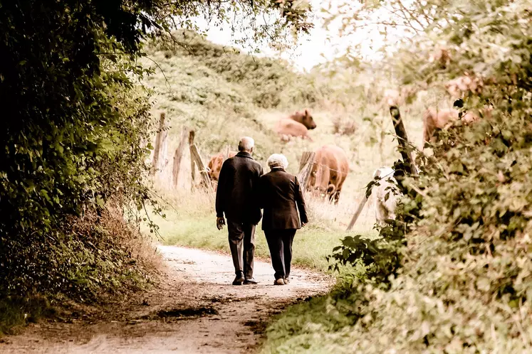 Couple de personnes âgées se promenant dans la campagne avec en arrière fond des vaches dans un champ