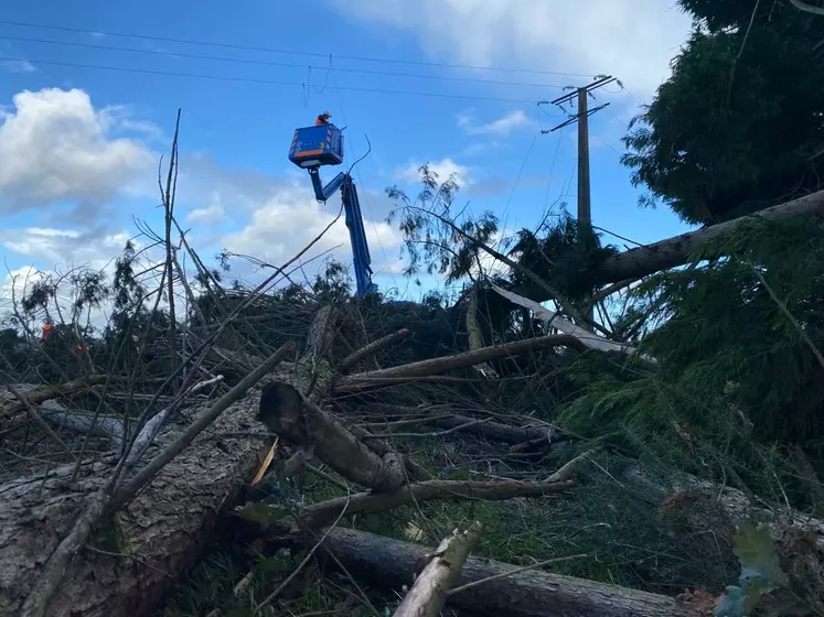 Agents d'Enedis réparant les dégâts sur les fils électriques après la tempête Ciaran