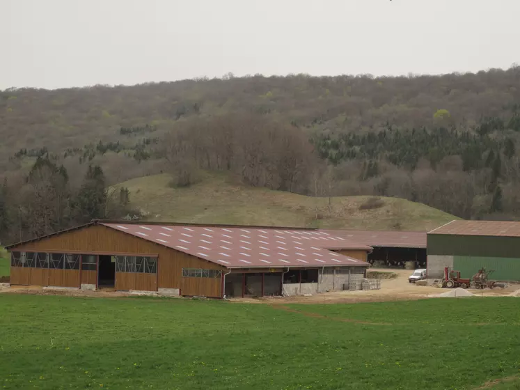 Bâtiment d'élevage de vaches laitières