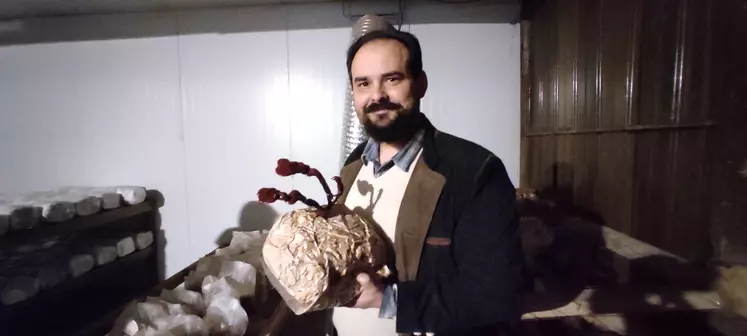 Javier Gorga producteur de champignons exotiques