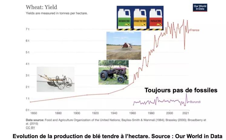 Evolution comparée du rendement de blé entre la France et le Burundi