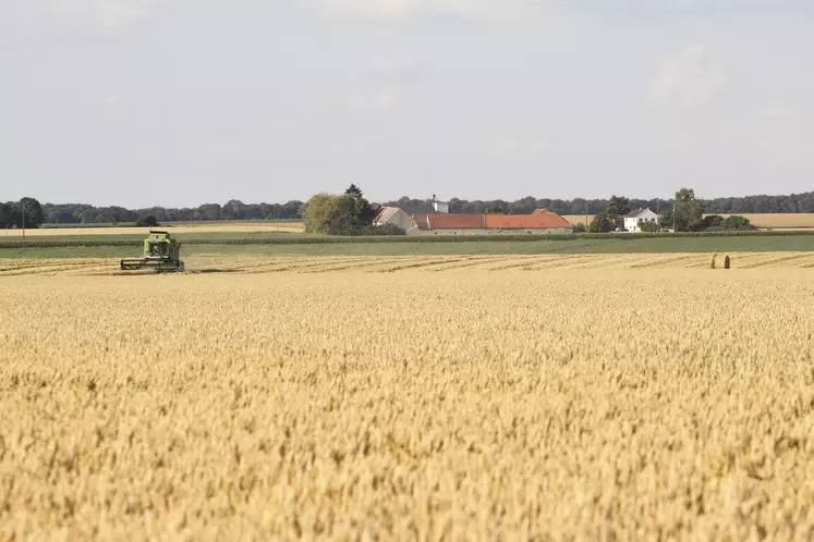 Exploitation agricole au milieu des champs