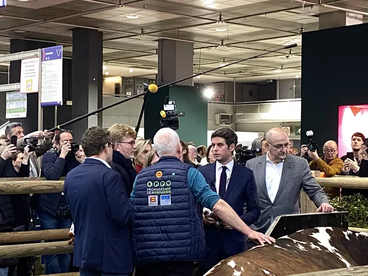 Gabriel Attal, ce mardi 27 février, avec Marc Fesneau et Agnès Pannier-Runacher devant la vache Oreillette au salon de l'Agriculture.